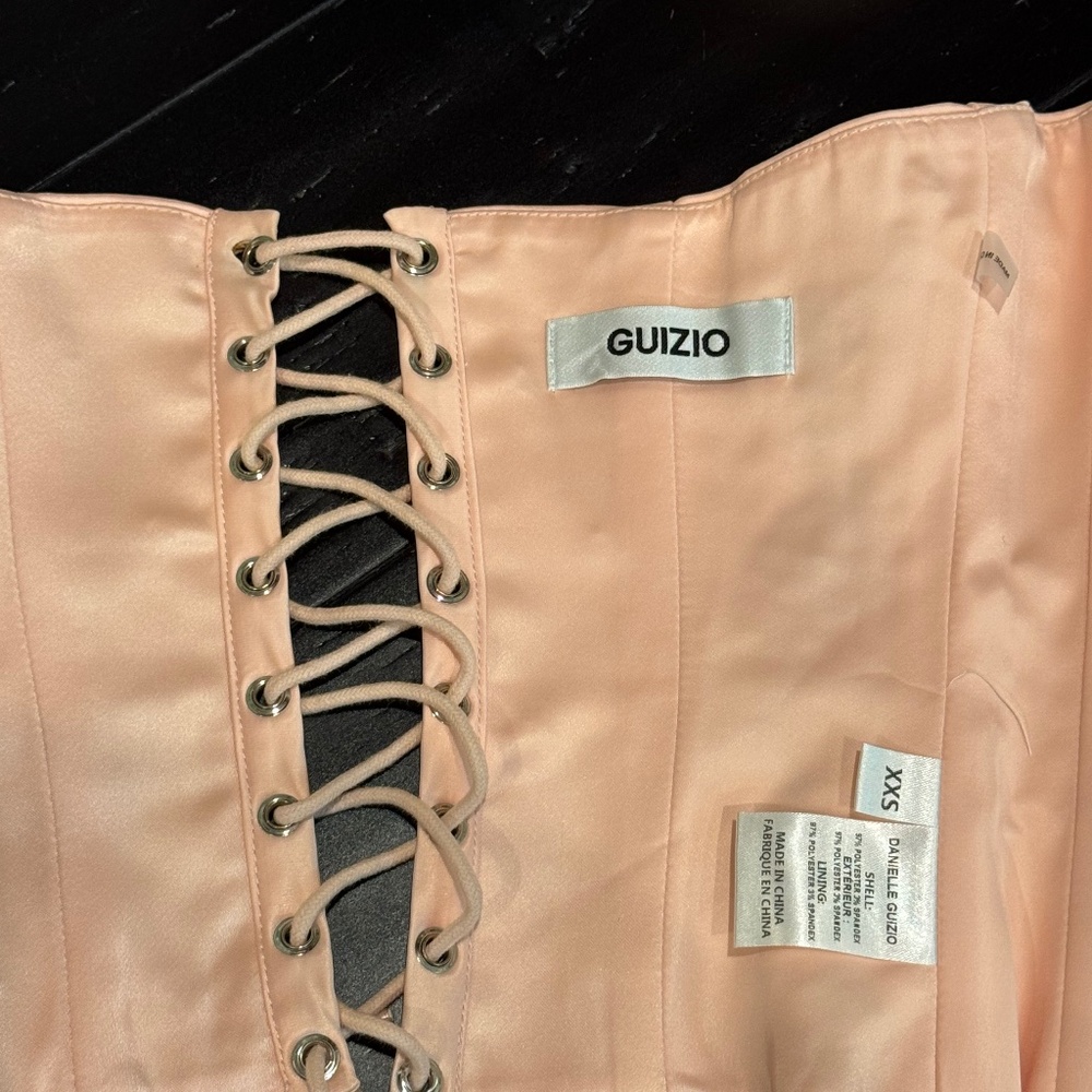 Danielle Guizio satan corset